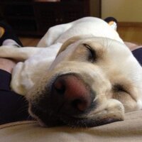 Andrew Thomson (@athomson79) 's Twitter Profile Photo Andrew Thomson (@athomson79) 's Twitter Profile Photo