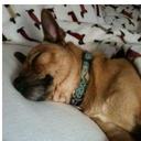 Frank Holder - @whitetrashdog - Twitter