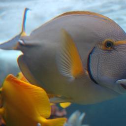 iwan84255's profile picture. 