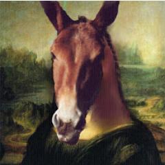 PepeMulas's profile picture. 