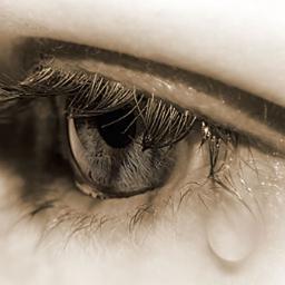 feeling sad hurts // Thailand