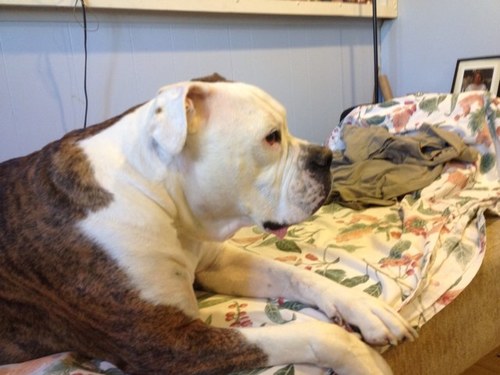 lucider666j's profile picture. 