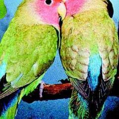 777StephenEbert's profile picture. Я себя не люблю, просто нравлюсь.