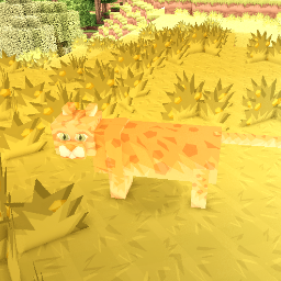 Meow