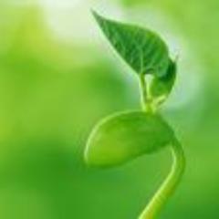 yunjii3's profile picture. 대구 북구/30대 신체 건강하고 정신 건강한 직딩/희망이란 단어 보다 아름다운 단어는 없다. 희망을 가져보자.