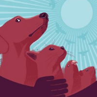 Marcha x animales (@marchaxanimales) 's Twitter Profile