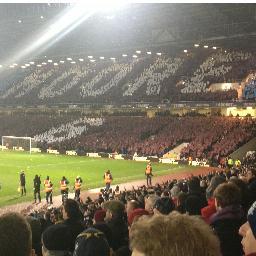 sfbrain's profile picture. Working in the MotoGP paddock