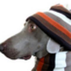 PattyMongiello's profile picture. 