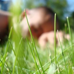 glimsd's profile picture. lab building and sustainability