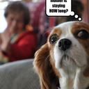 crystal bloom - @xxzebralove - Twitter