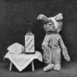 Tachok8's profile picture. 