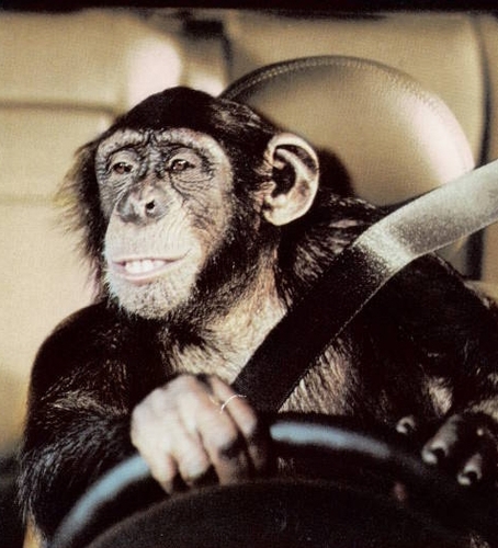 cbadreani's profile picture. Managing Edit https://t.co/JnJZap7aPf Preface https://t.co/1iaeQRvp2N Page https://t.co/cJrhqA5wjP Profile https://t.co/GI3GtL2Jr5