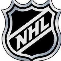 Hockey Fan