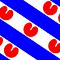 SC Heerenveen Nieuws(@_scheerenveen) 's Twitter Profileg