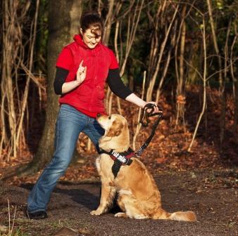 Hundetrainerin und Hundebuchautorin