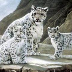 mari_dure's profile picture. Хорошо врачам – допустил ошибку, похоронил и забыл.