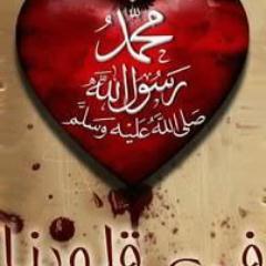 اللهم اجعل القران نور قلبي وذهاب همي واجلعه شاهدا لي لاعلى يوم القيامه