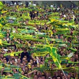 Je vis à Nantes depuis 35 ans.
Je supporte énormément l'équipe de football Nantaise.