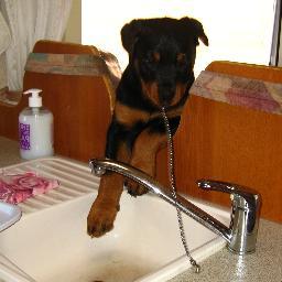 JaanaBenestad's profile picture. 