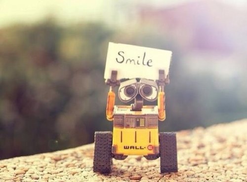 piera_mere's profile picture. Sc...re la mente di una donna è vizio da raffinati intenditori, tutti gli altri si accontentano del corpo.