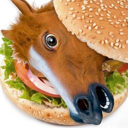 horsemeat_stats's profile picture. Important information about horsemeat. Brought to you by @rfreebern.