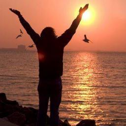 naseer211's profile picture. إنسان يدري أنه لا يدري ,