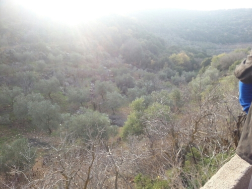 Zakaria31222834's profile picture. أنا اعزب