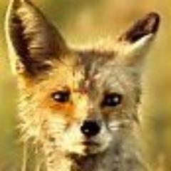 gcckim's profile picture. 