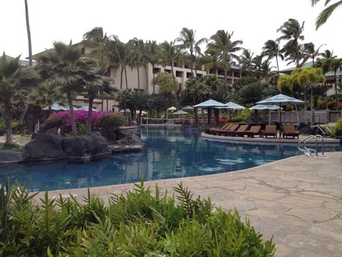 dhradloff's profile picture. 