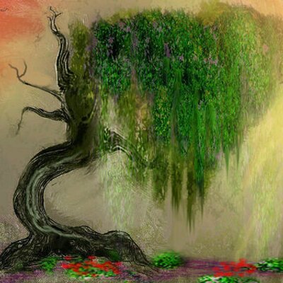curvedtree's Profile