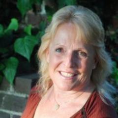 VSworkshops's profile picture. Dual-track advanced writing workshop to benefit Ventana Sierra, a non-profit offering housing & resources to youth in need, founded by @EllenHopkinsYA. #VSW2013