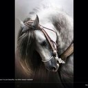 jean callender - @jeanius30 - Twitter