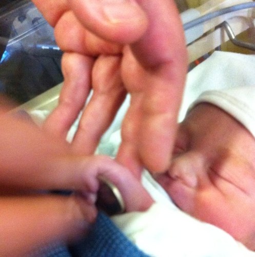 lizzymarley9's profile picture. 