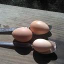 A. Beatrice Travis - @greatblazes - Twitter