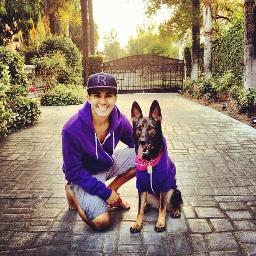 BTR? Oh you mean life ruiners? ;{) Backup account for @BTRLoganHLover♥