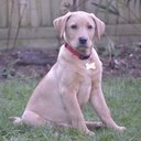 paul horner - @phorner666 - Twitter