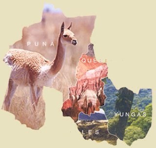 Jujeños en el mundo. Contamos en donde estas y mantenete informado con nosotros