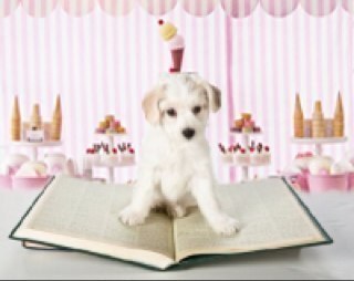 Book lover with a fancy for absurd tales. Also the fantastical, historical, & philosophical. 

Life is sweet with books & cute things. ❤️