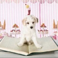 I Scream Books (@iscreambooks) 's Twitter Profile