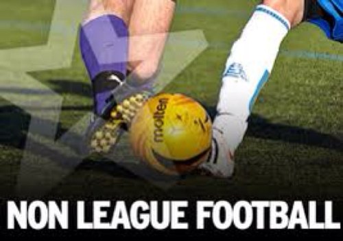 Ex Professional Footballer providing Free football tips. Specialising in English Non League and League of Wales! #BeLucky
