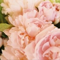 Deb Ganderton (@rose_eusd) 's Twitter Profile