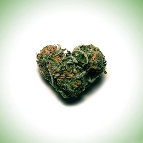 Smoke weed and Fly