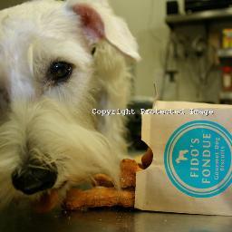 FIDO’S FONDUE Gourmet Dog Biscuits are GRAIN-FREE &ORGANIC. Locally sourced with Mary’s Free Range Chicken & Niman Ranch Bacon keeps them drooling for more!