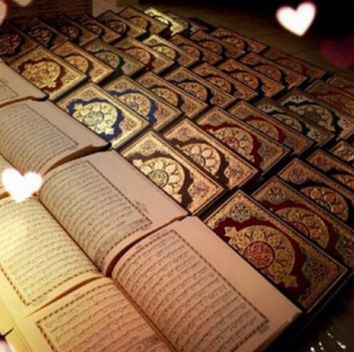 أصنع من الحُلم فنُ يحمل رسالة وأطمح للمعالي دومًا  أعرض أعمالي اليدوية للبيع + إمكانية الطلب متوفرة . ريع العمل خيريّ لجمعية إنسان الزلفي kik - saudi803