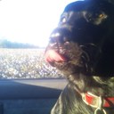 Van Carr - @carr_van - Twitter