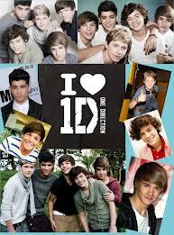 Iam boydirectioner forever!!!!!  boydirectioners e directioners , pf me segue que eu sigo de volta!!!!! e sigo outros tb!!!!