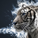 Jose Luis Robayo - @josevespa94 - Twitter