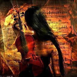 Just a normal girl who plays the violin, which comes with pros and cons. 
I follow back!