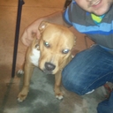 aaron dennison - @AceBallinOut08 - Twitter