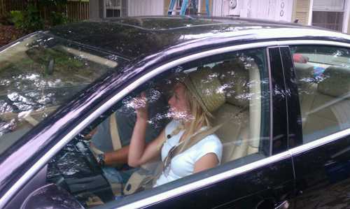 ilicacarlton's profile picture. 